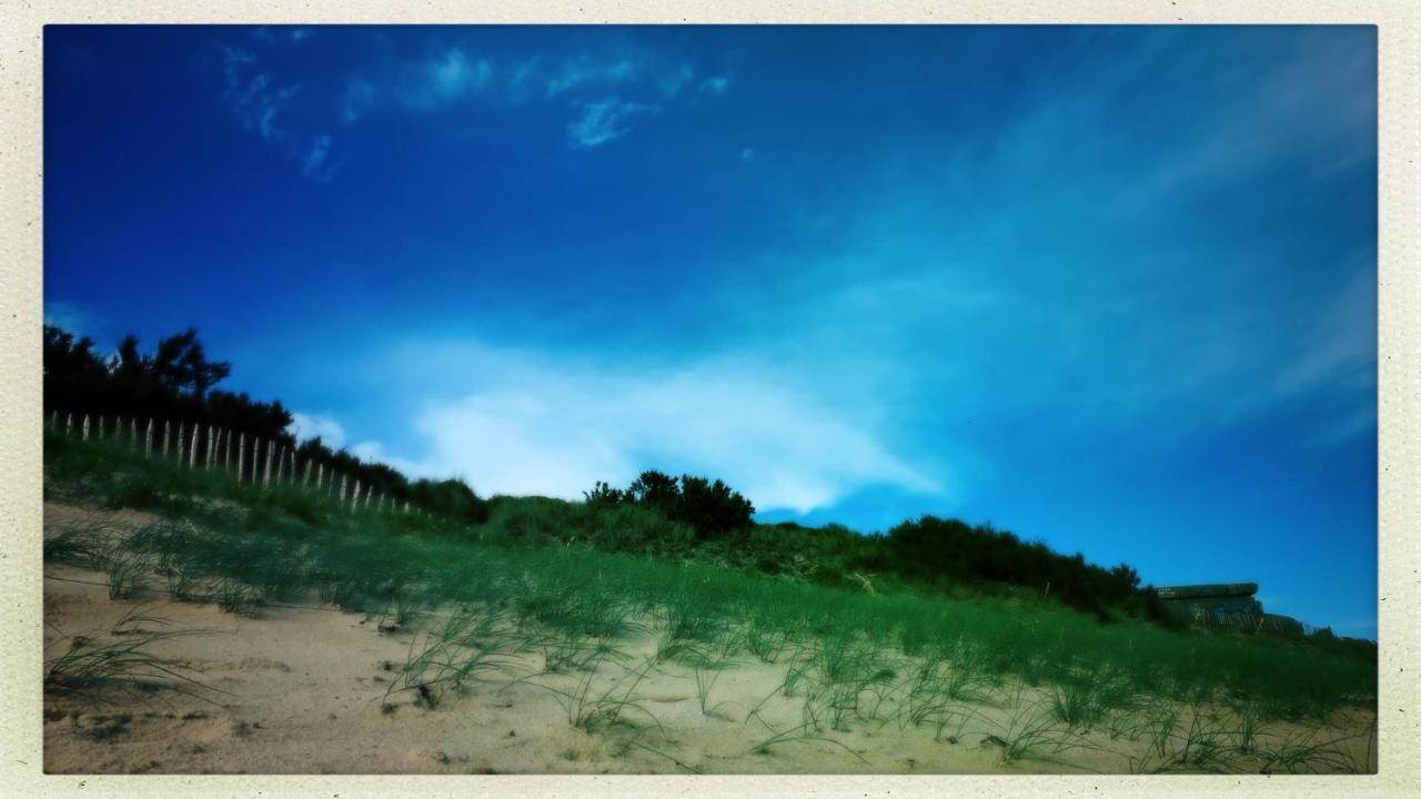 Maison Face Au Soleil Le Bois-Plage-en-Ré Exteriér fotografie