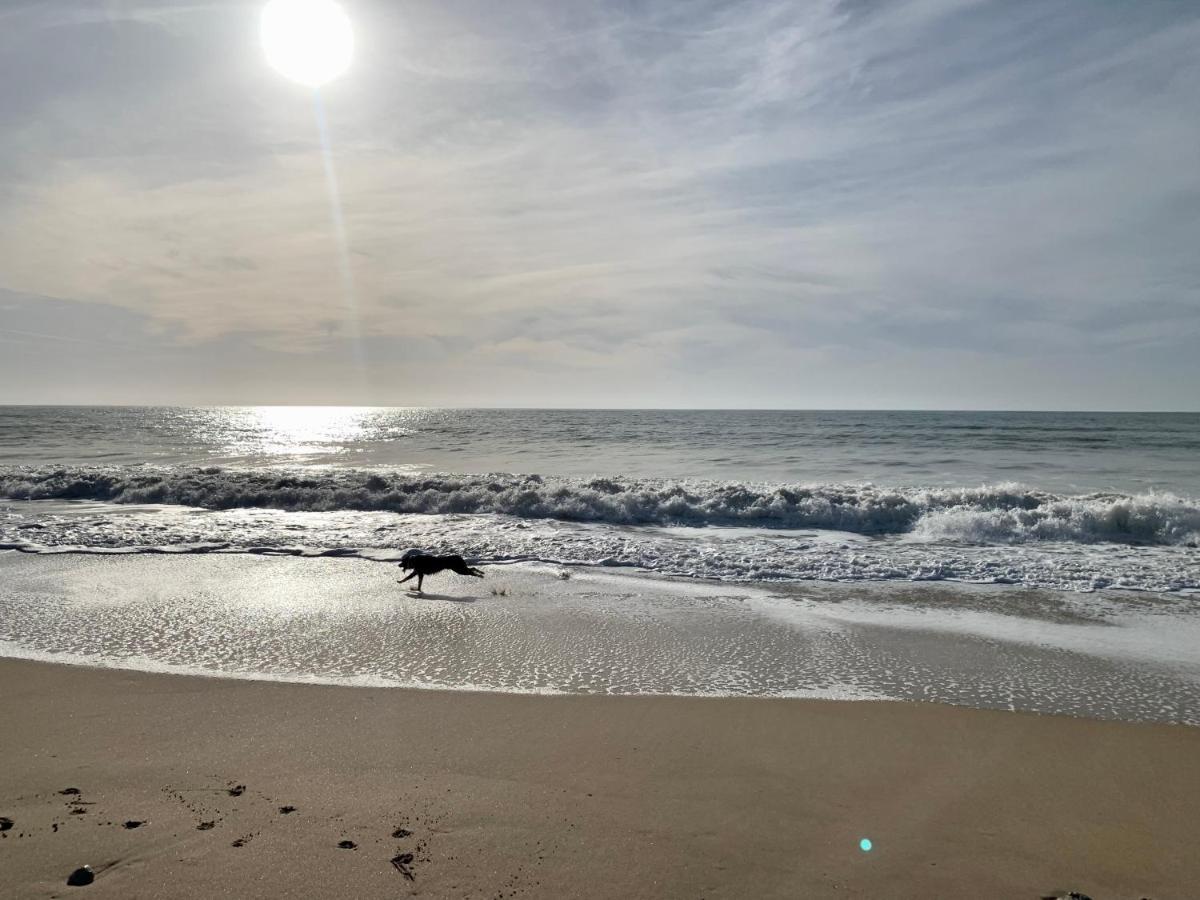 Maison Face Au Soleil Le Bois-Plage-en-Ré Exteriér fotografie