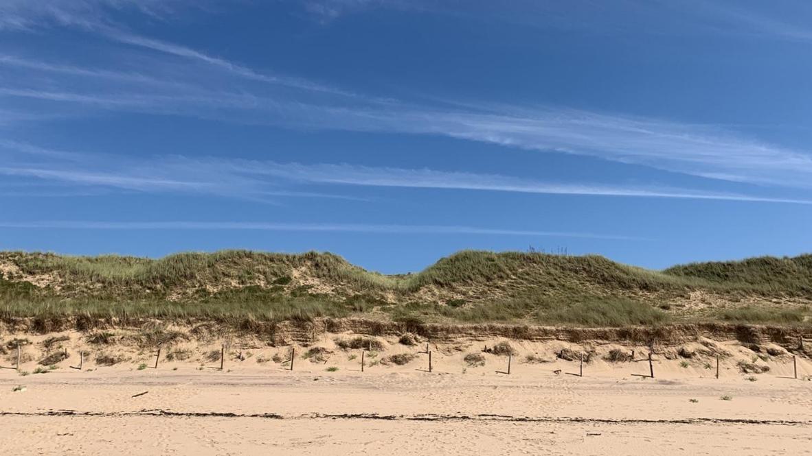 Maison Face Au Soleil Le Bois-Plage-en-Ré Exteriér fotografie